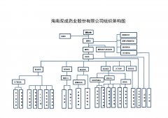 海南双成药业股份有限公司2016年度环境报告书